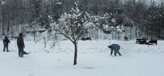 snowblog