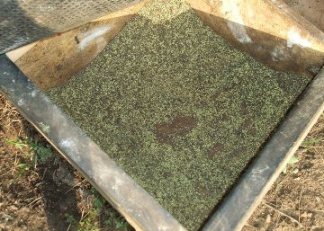 Flies-Be-Gone in the mineral feeder.