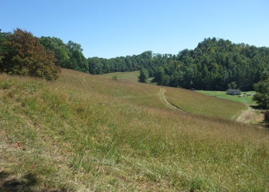 From the upper corner of the pasture.  Look at all that grass!