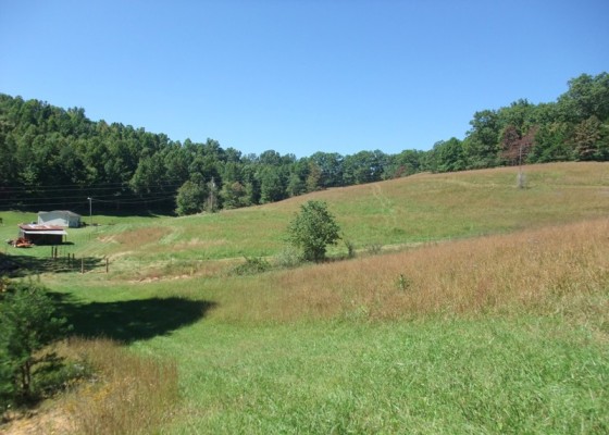 House & pasture from the pond area