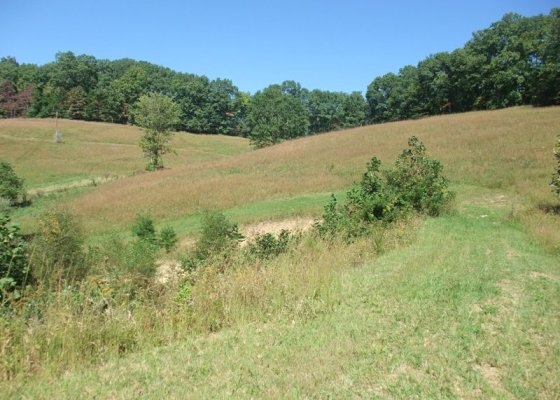A view of the pasture from the pond area