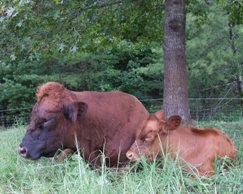 Like father, like son.