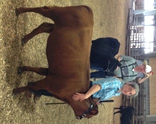 Jammy & I waiting to line up for her class, Jr. Yearling Heifer.